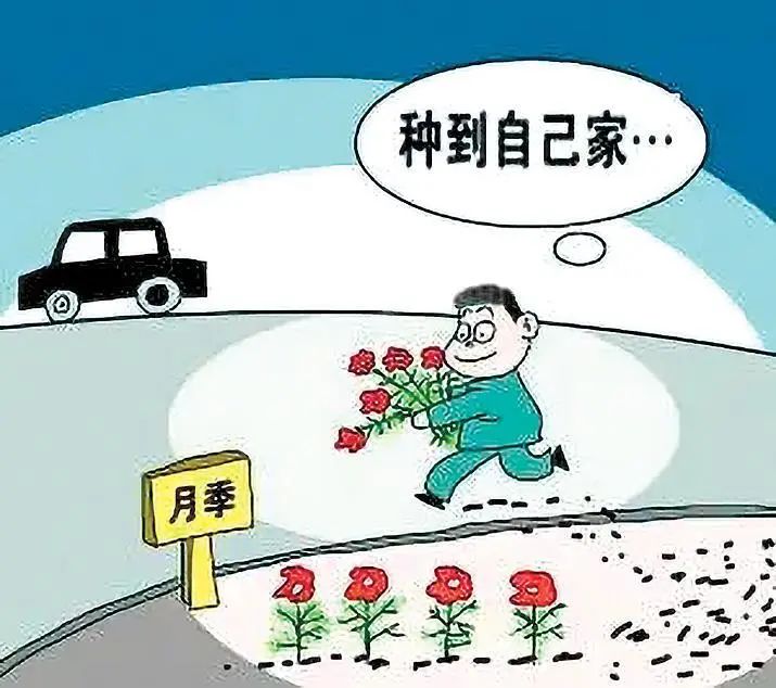 晋宁诗意的栖居地