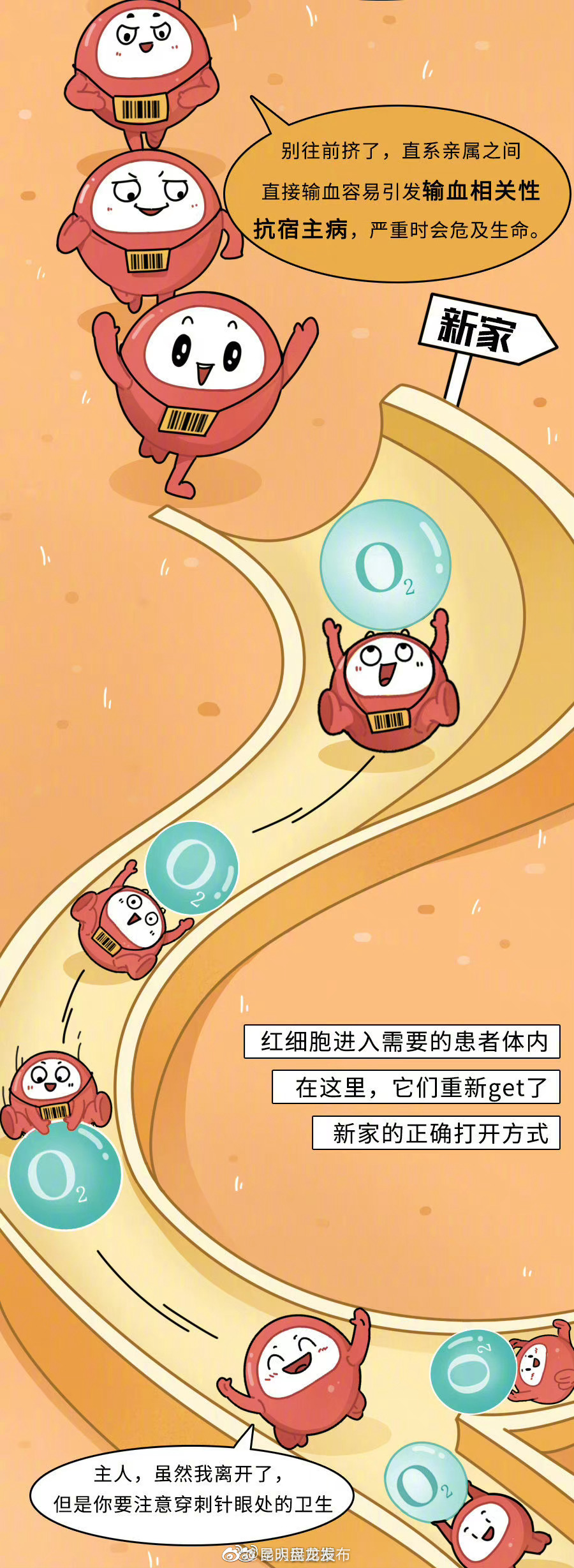 昆明盘龙发布