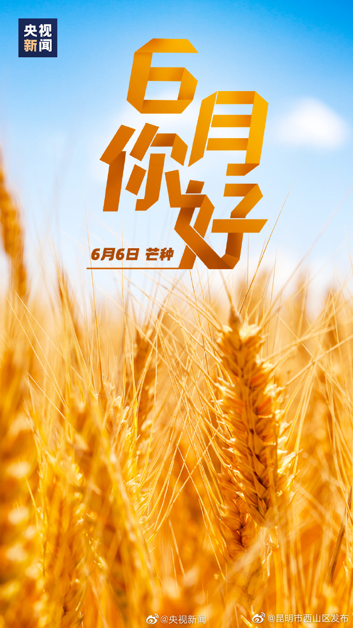 昆明市西山区发布