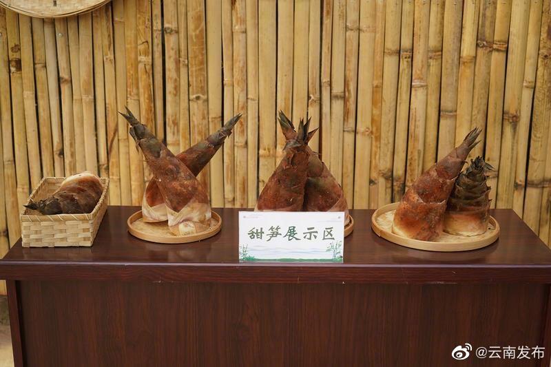 保山昌宁荣获评中国甜笋之乡