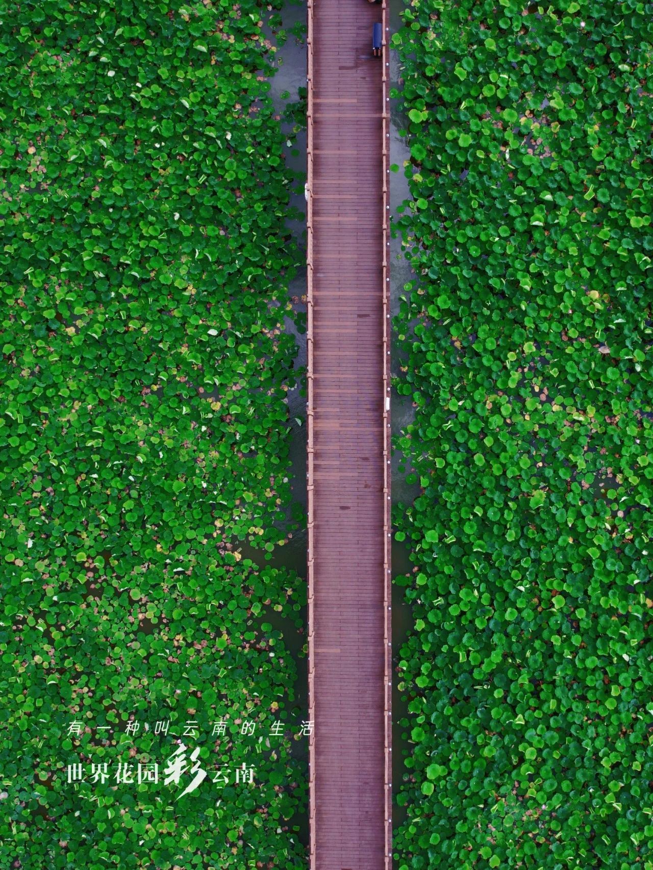 云南省文化和旅游厅