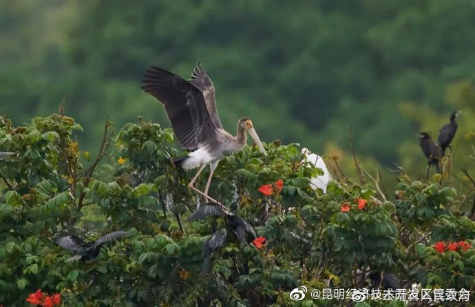 昆明经济技术开发区管委会