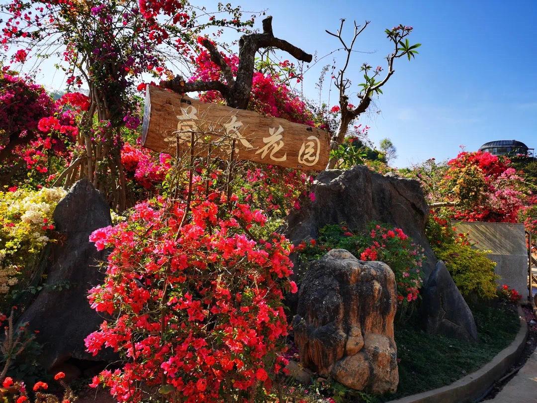 云南省文化和旅游厅