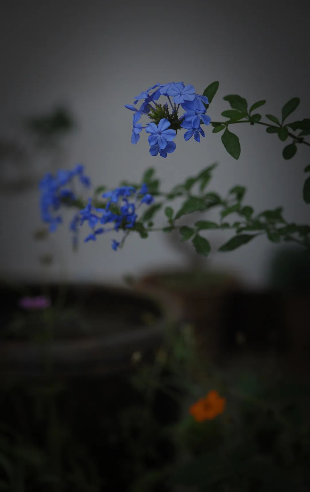 昆明文旅