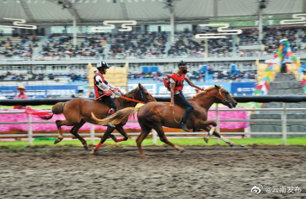 策马奔腾迎佳节！迪庆香格里拉2023年端午赛马节开幕