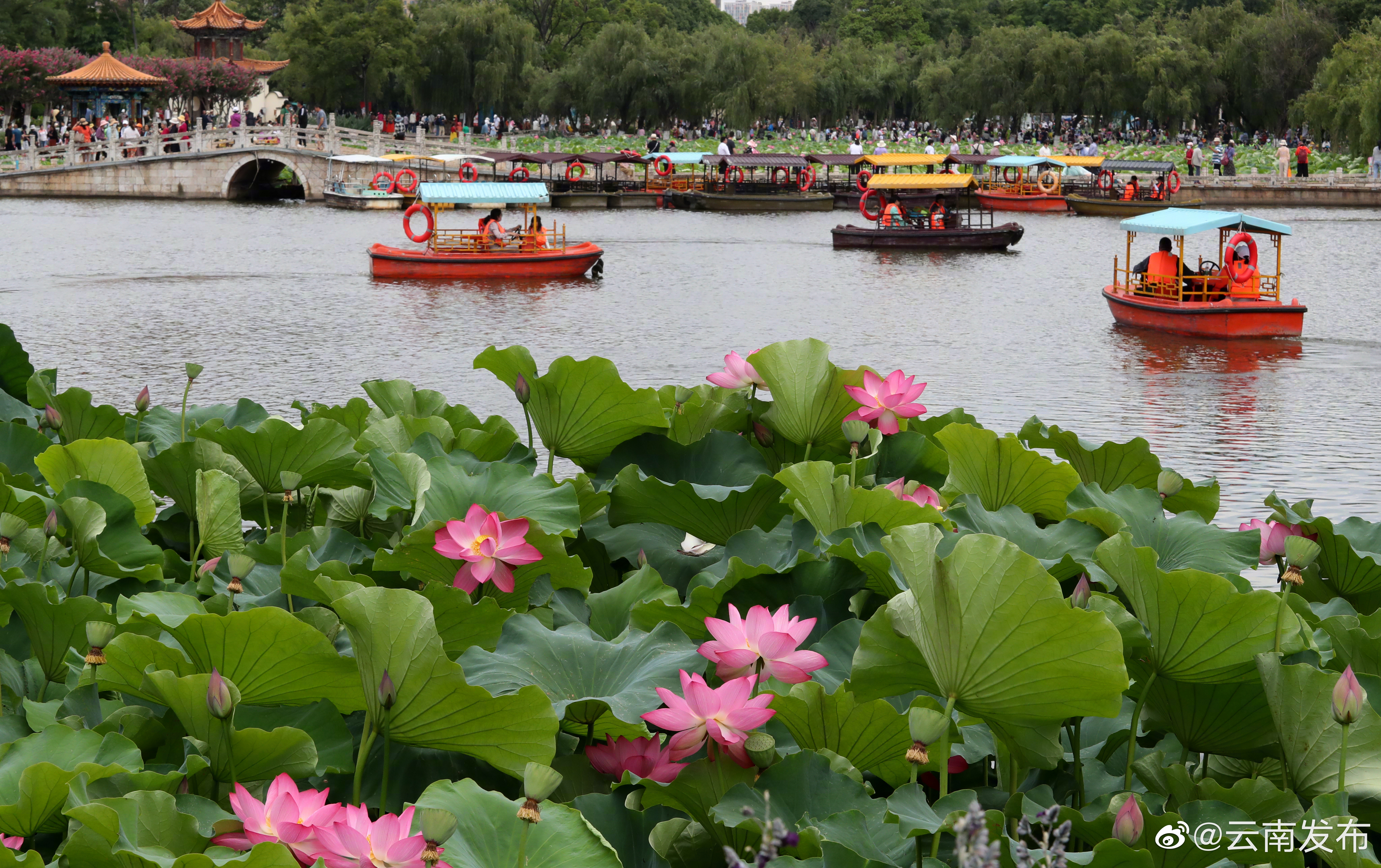 云南5地上榜避暑旅游优选地