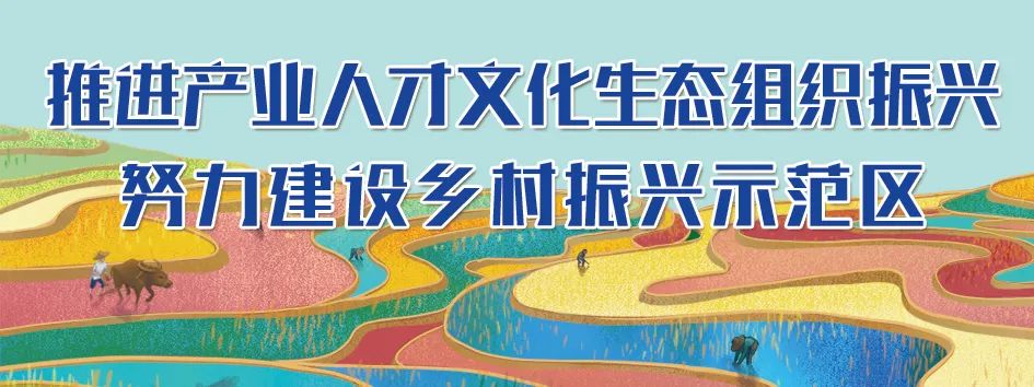 丽江日报