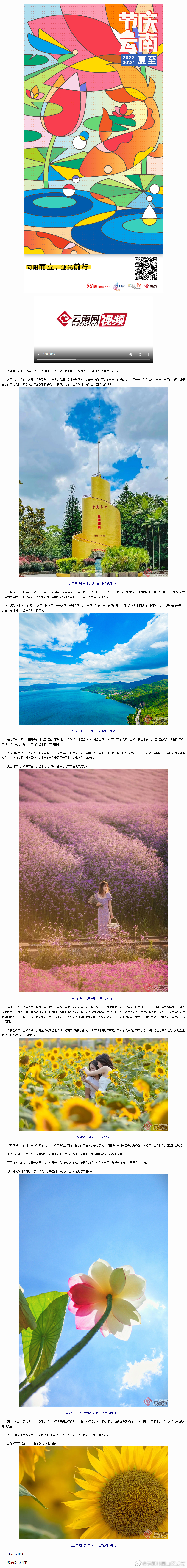 昆明市西山区发布