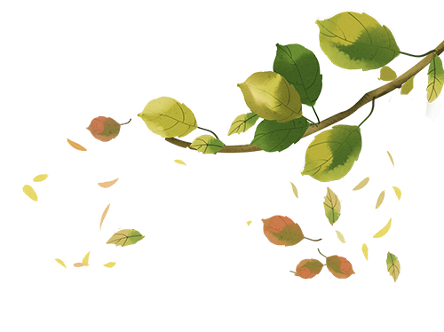 云南省中医医院