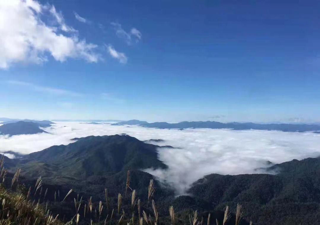 云南省文化和旅游厅