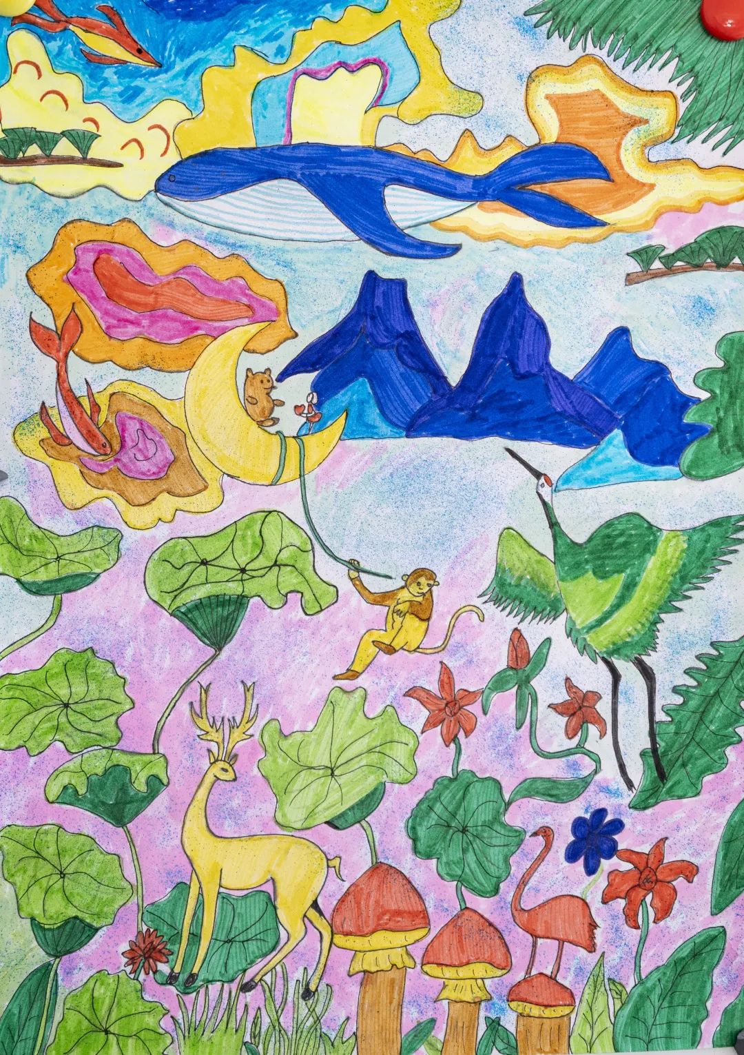 云南野生动物园