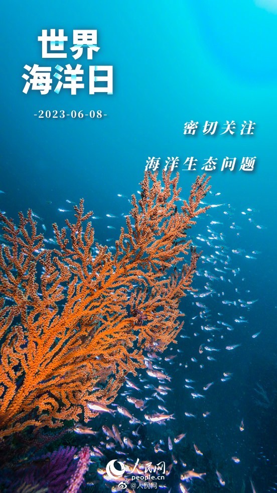 人民网