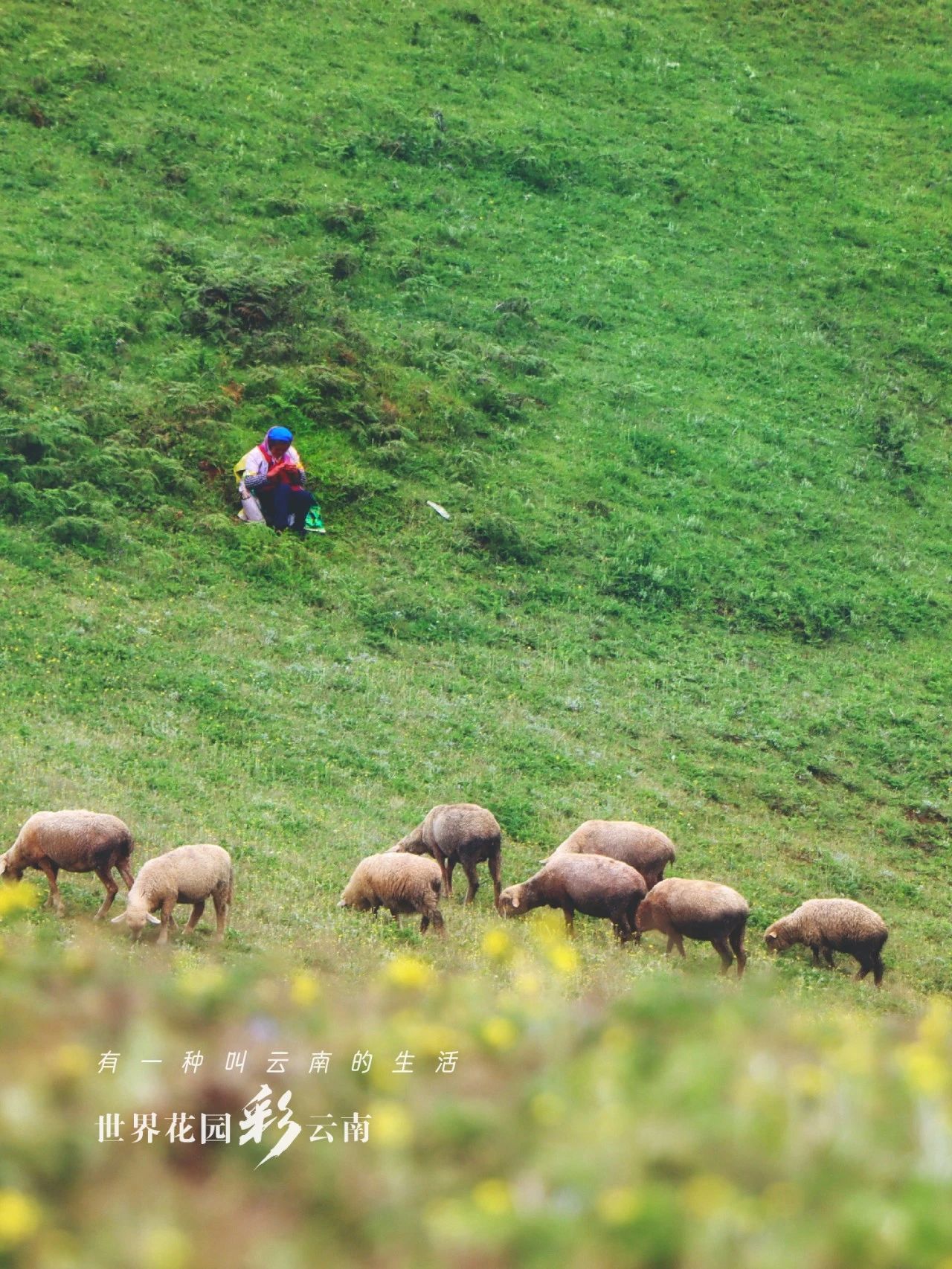 云南省文化和旅游厅