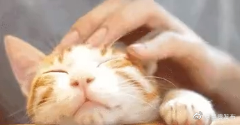 呈贡发布