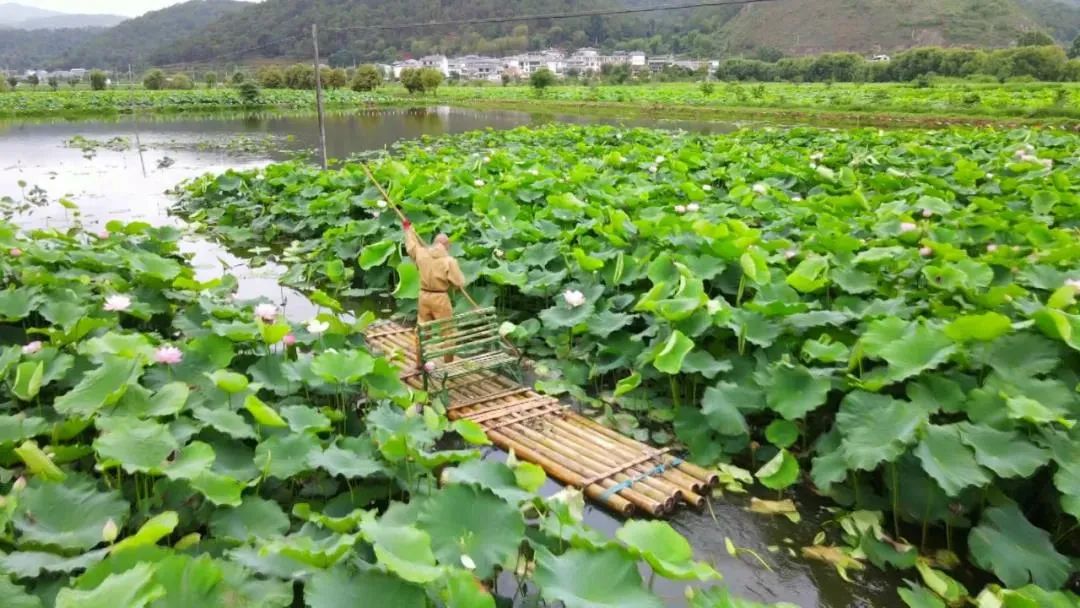 保山新闻网