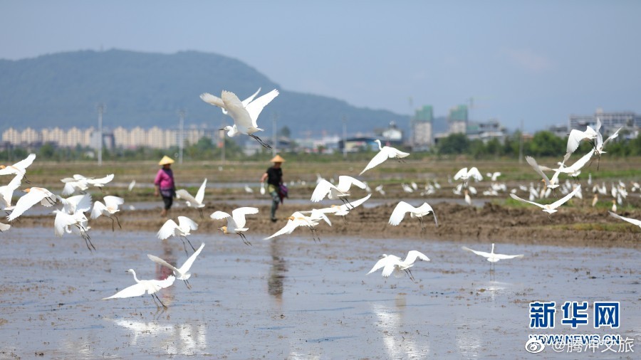 腾冲文旅