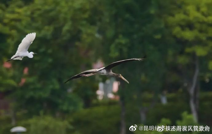 昆明经济技术开发区管委会