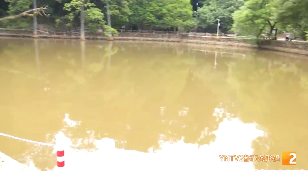 昆明信息港/cnkmxxg