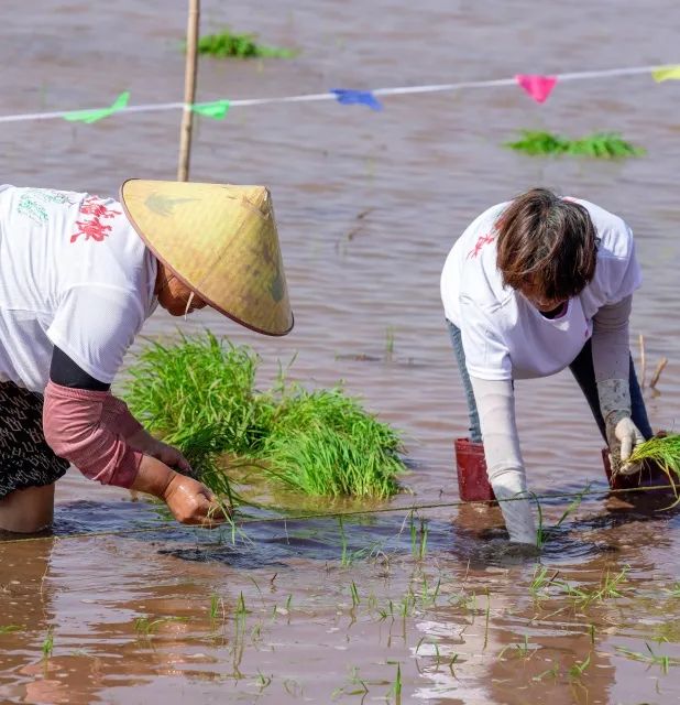 晋宁诗意的栖居地