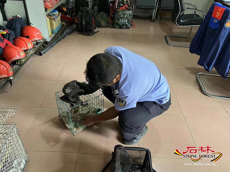 石林旅游网