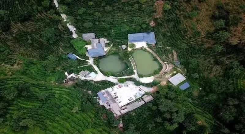 云南省文化和旅游厅