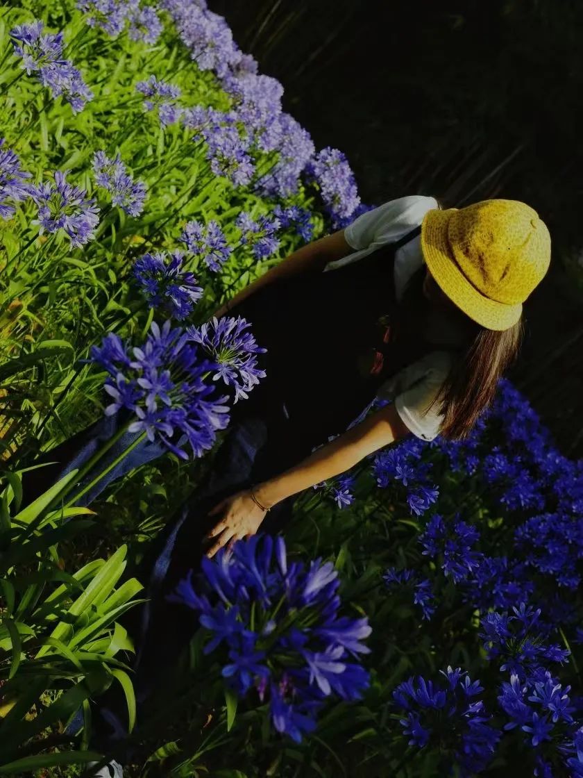 昆明市金殿名胜区