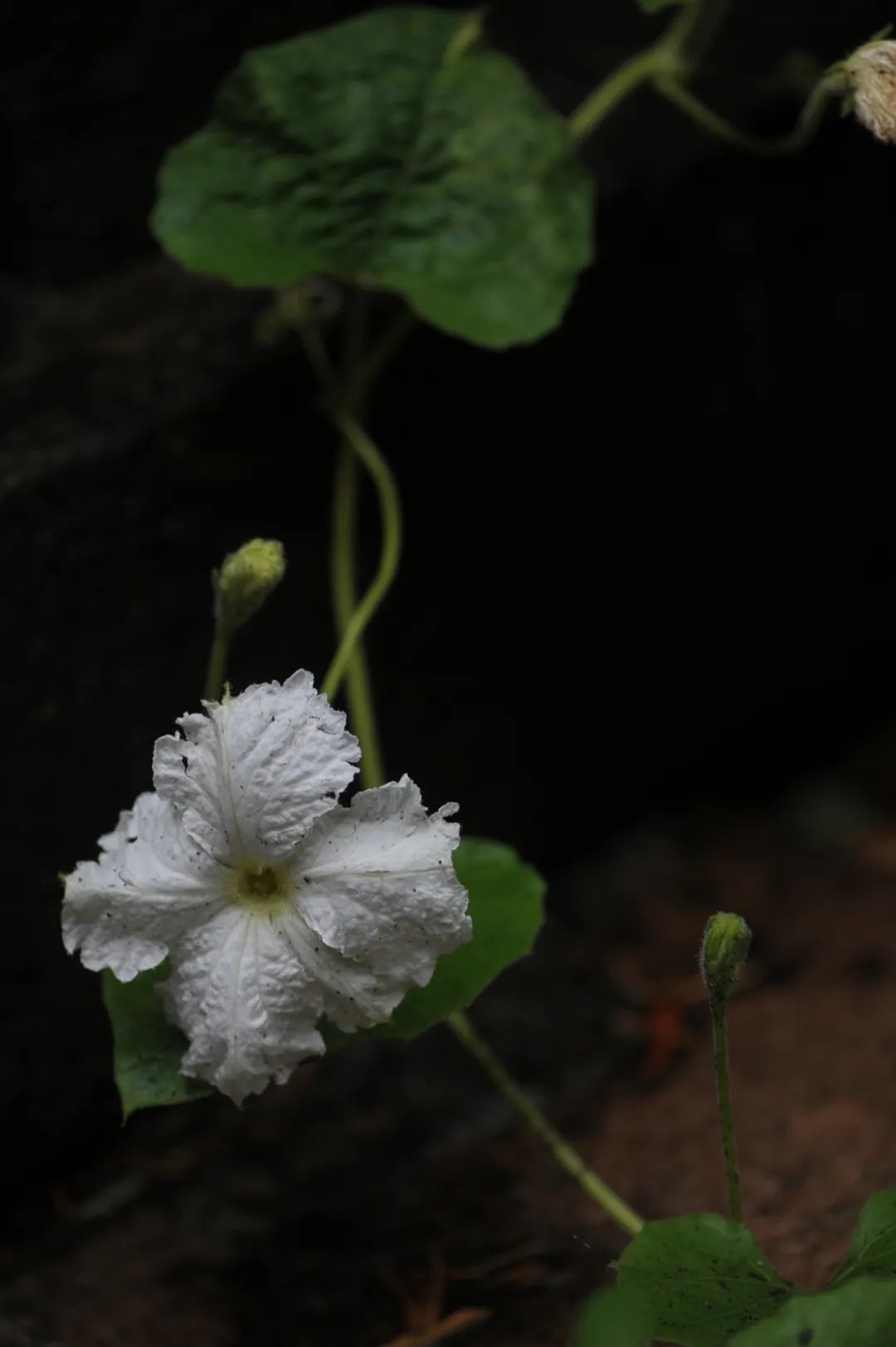 昆明文旅