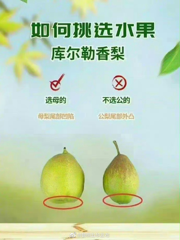 昆明五华发布