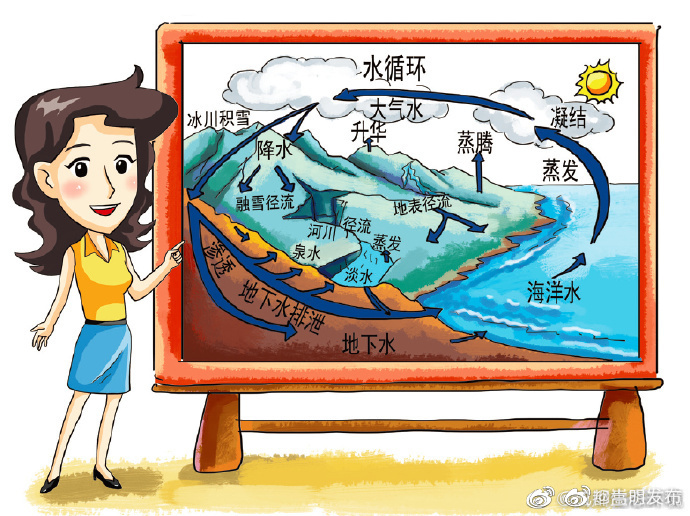 什么是水循环？