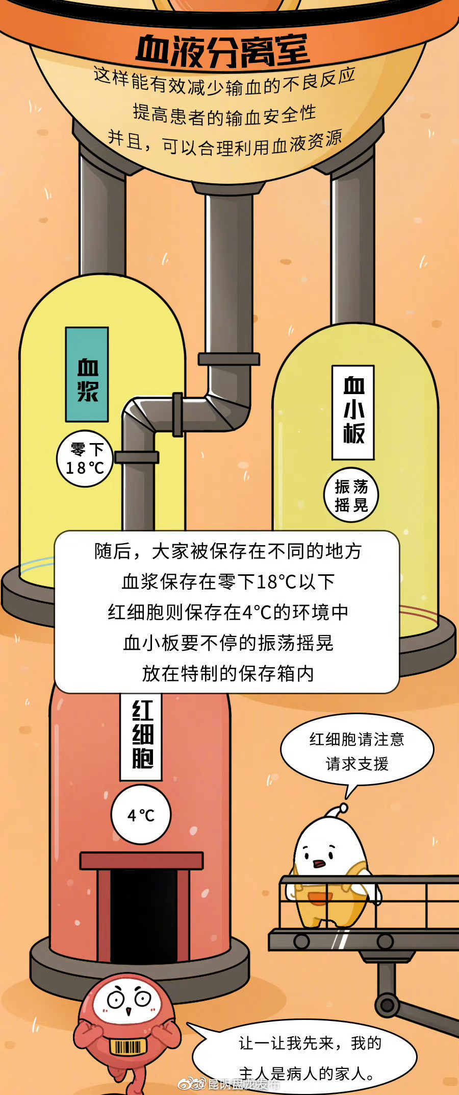 昆明盘龙发布