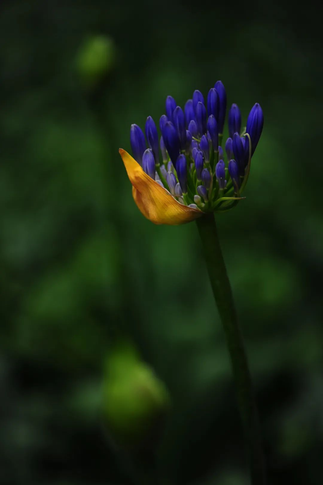 昆明市金殿名胜区