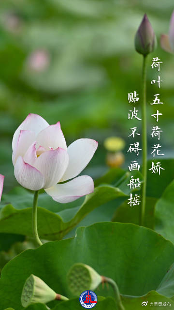 呈贡发布