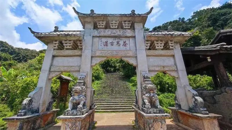 云南省文化和旅游厅