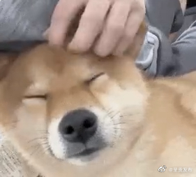 呈贡发布