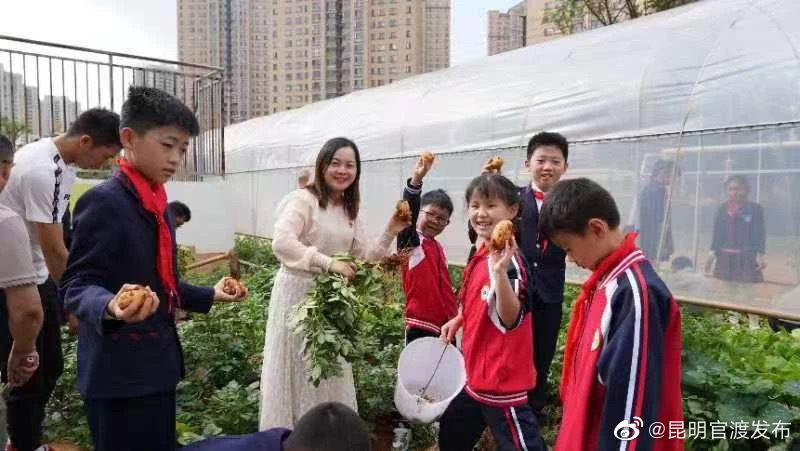 昆明官渡发布