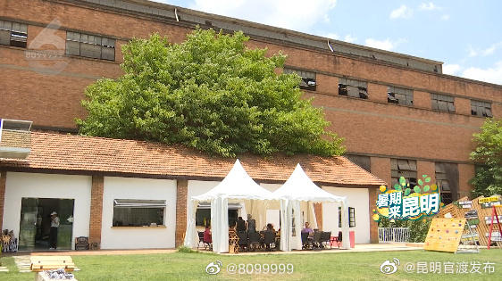 老厂房里的新面貌！“全昆明你找不到第二个这样的”！