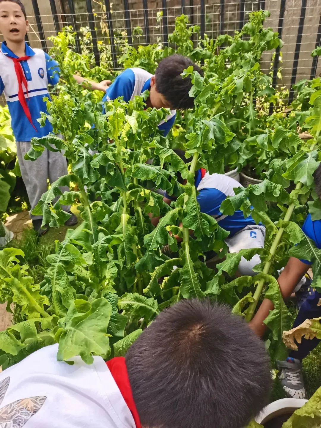 昆明西山教育体育