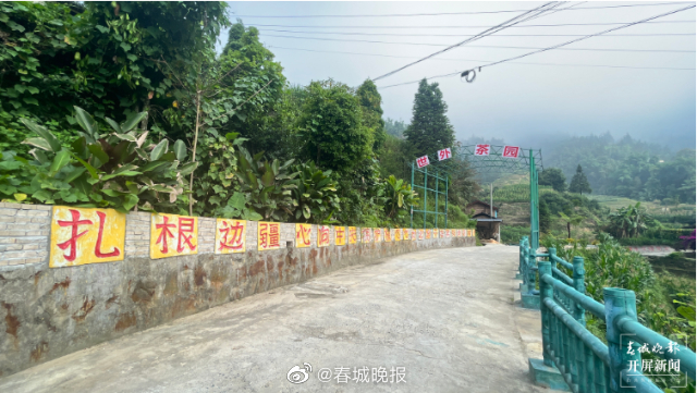春城晚报
