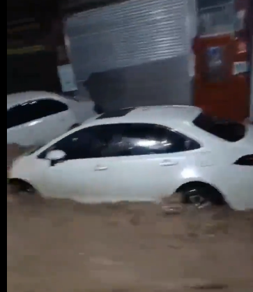 昆明信息港/cnkmxxg