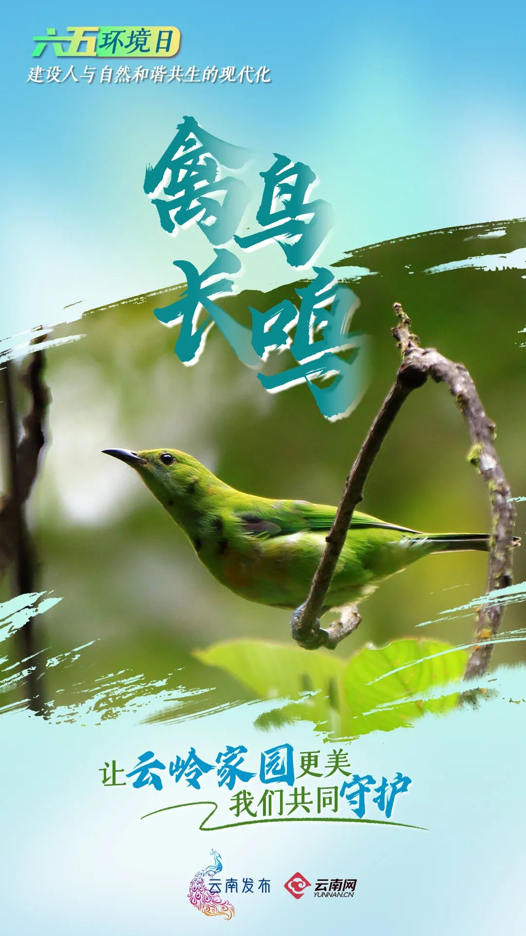 云南省文化和旅游厅