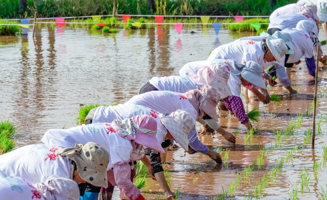 晋宁诗意的栖居地