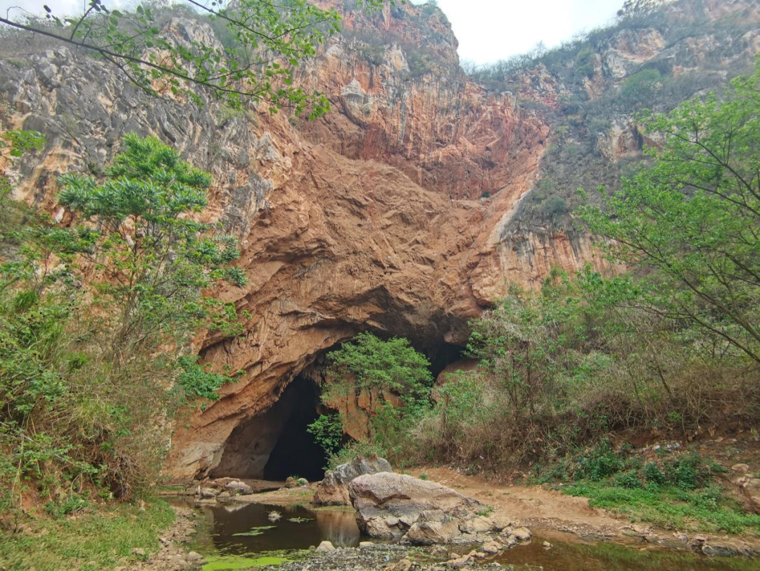 云南省文化和旅游厅