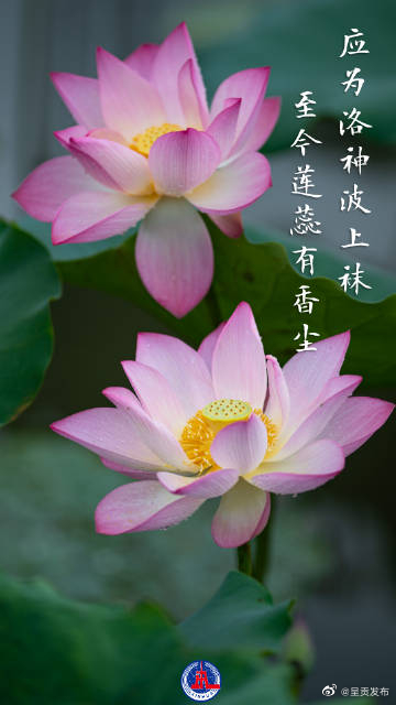 呈贡发布
