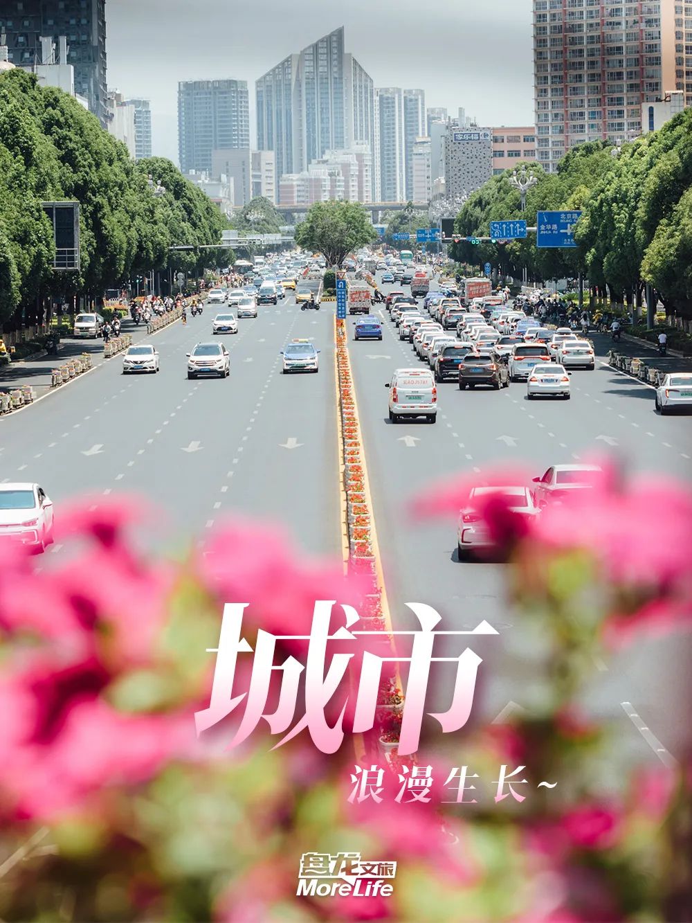 盘龙统战