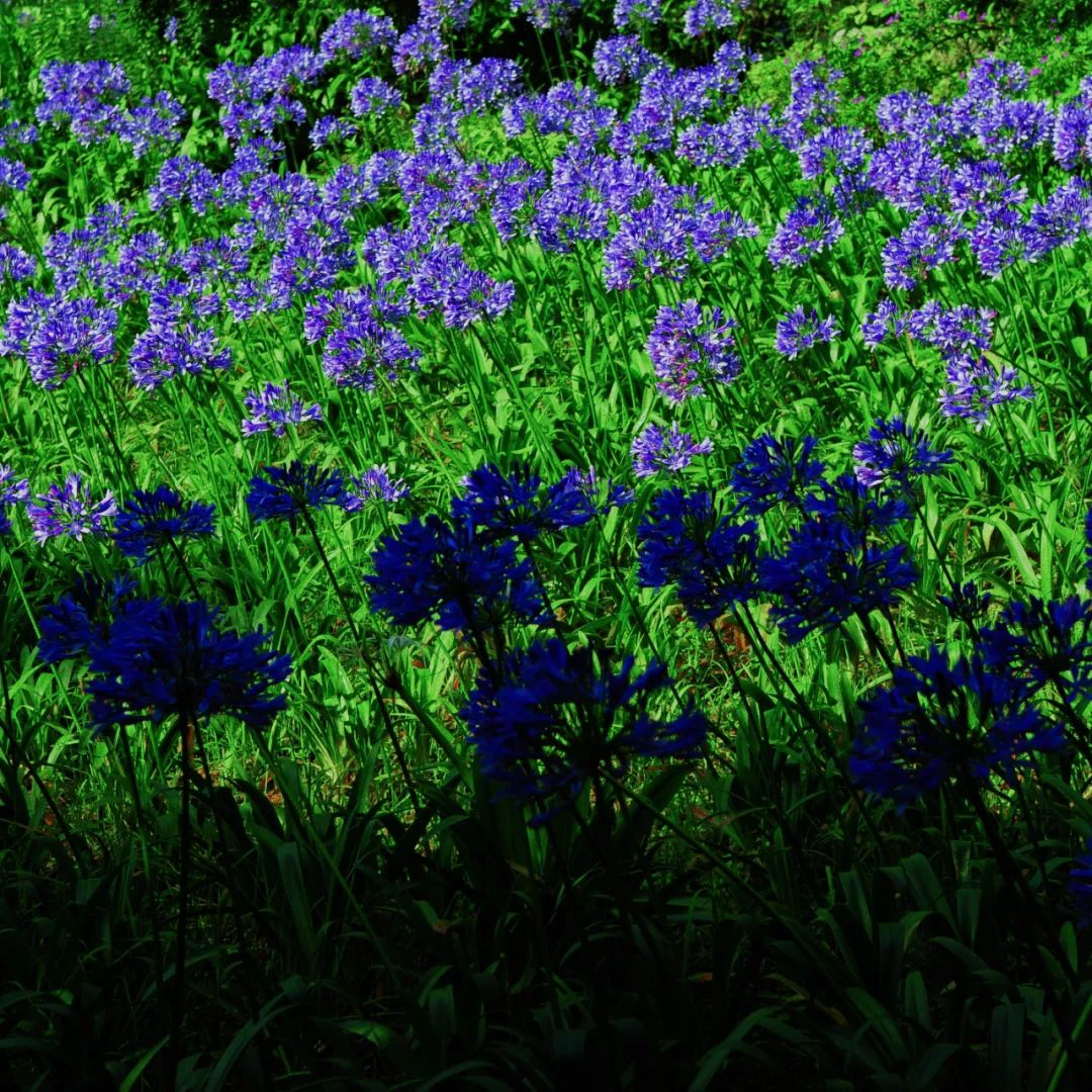 昆明市金殿名胜区