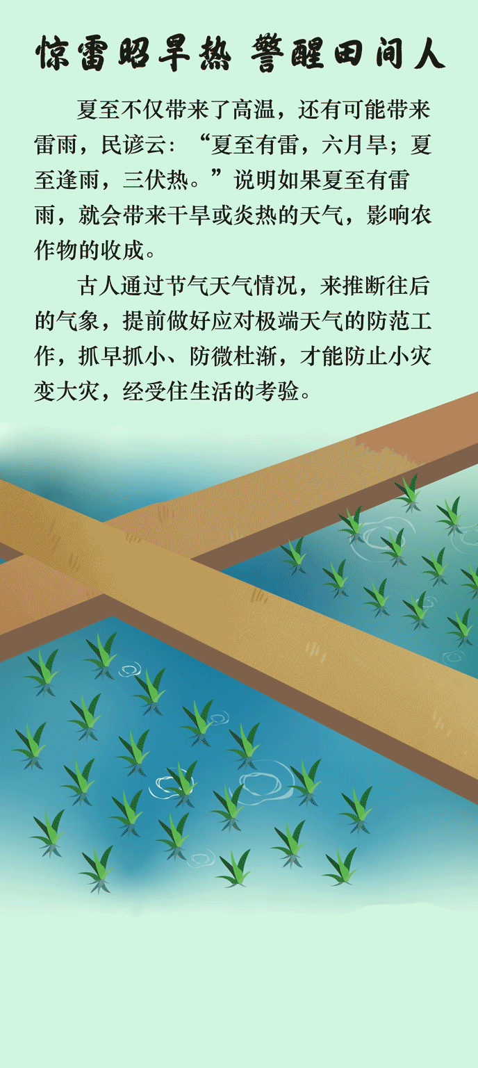 保山先锋