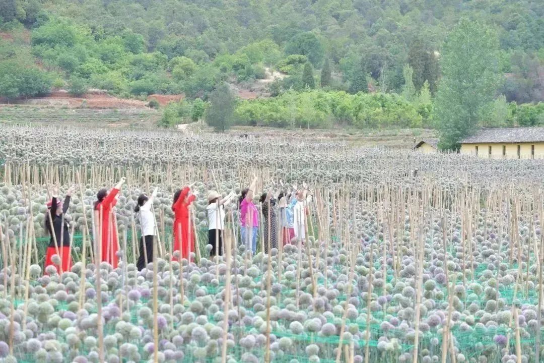 昆明文旅