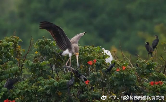 昆明经济技术开发区管委会