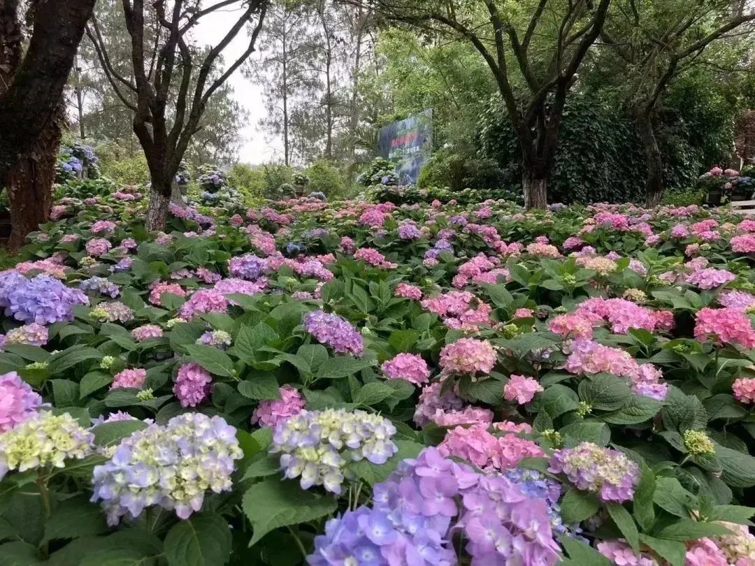 昆明文旅