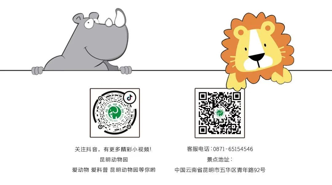昆明动物园